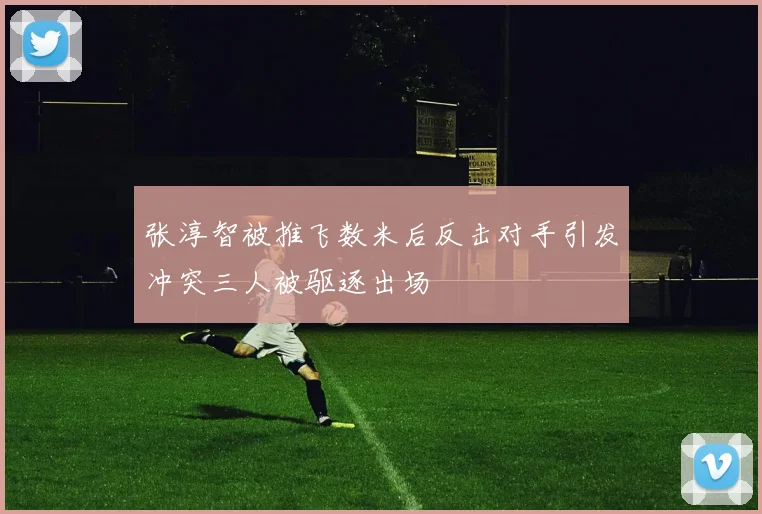 张淳智被推飞数米后反击对手引发冲突三人被驱逐出场